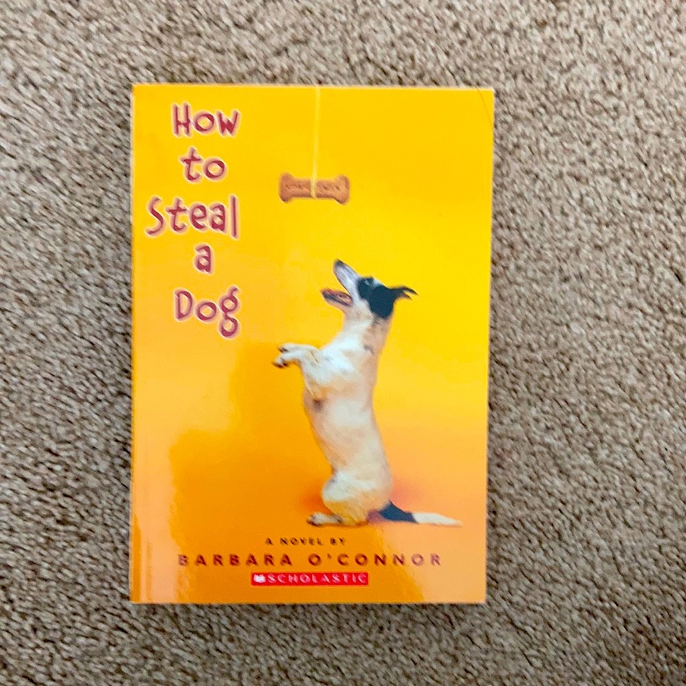 How to steal a dog book